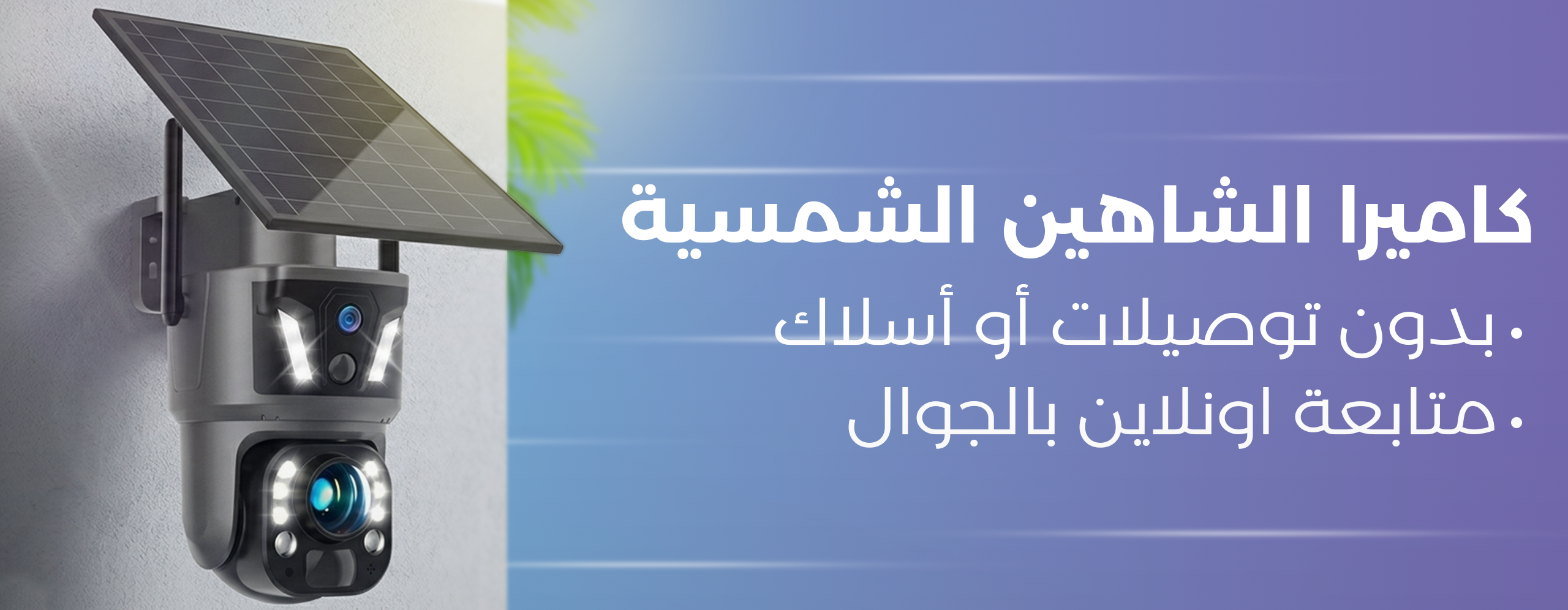 Alshaheen